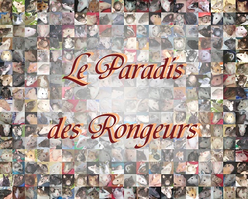 Le Paradis des Rongeurs