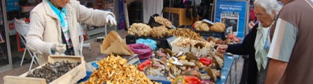 forum frontignan, champignons d'automne