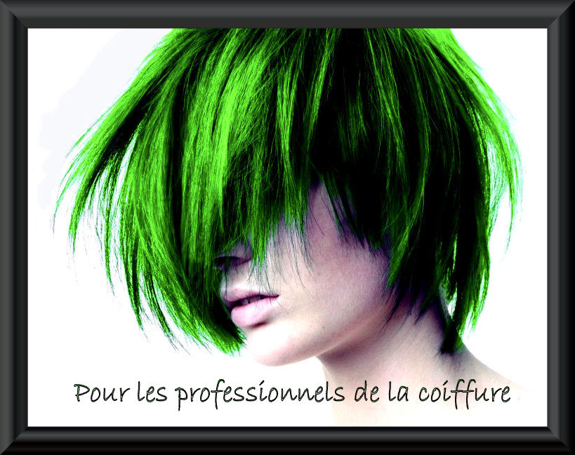 Pour les professionnels de la coiffure