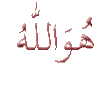 لا مساهمات جديدة لا مساهمات جديدة