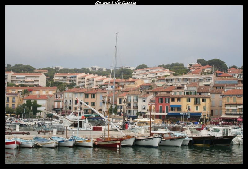 cassis15.jpg