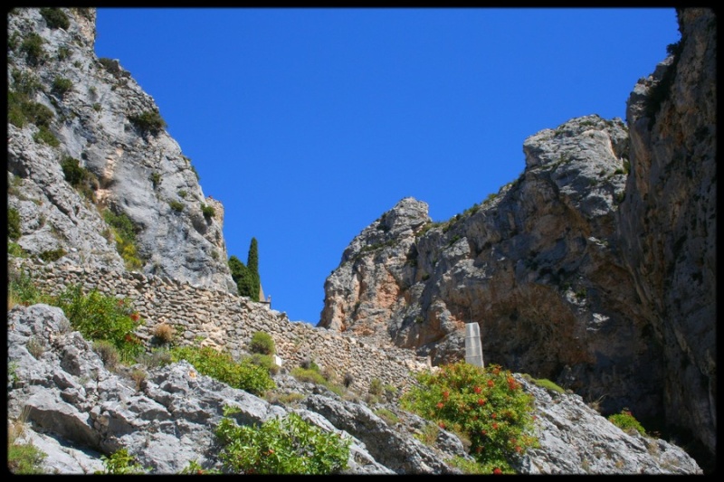 mousti29.jpg