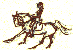 CANTER