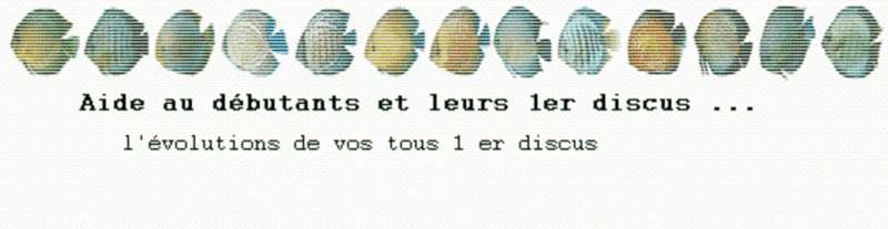 aide au débutants et leurs premier discus!