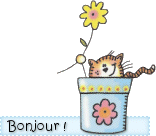 http://i22.servimg.com/u/f22/11/41/63/27/bjrpot10.gif