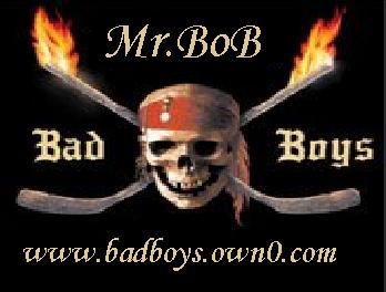 Mr.BoB