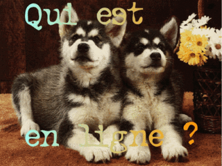 Qui est en ligne ?