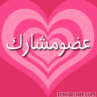 عضو مشارك عضو مشارك