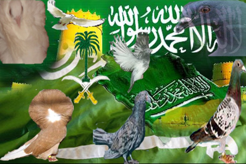 منتديات حمام السعودية