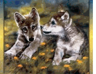 Wolf-Spirit