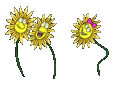 fleur_11.gif