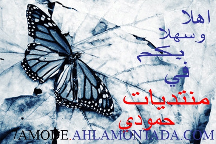www.7amode2507.com