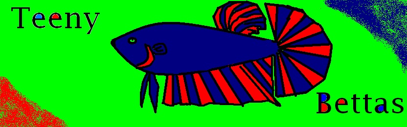 Jugend Betta Forum