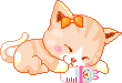 Chaton épris Chaton épris