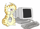 Chat accro Chat accro