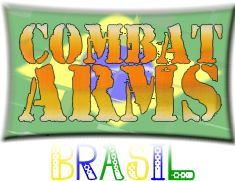 Link para Combat Arms Brasil