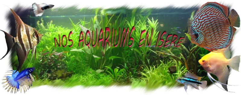Nos aquariums en Isère