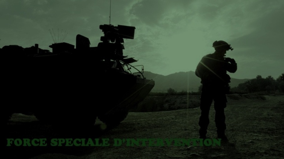 Force Spéciale d'Intervention