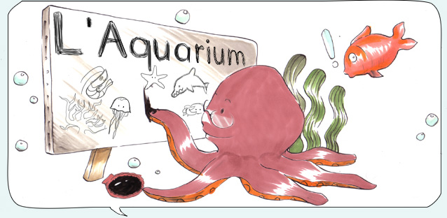 L'aquarium