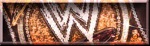 WWE Champion WWE Champion