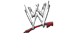 WWE WWE