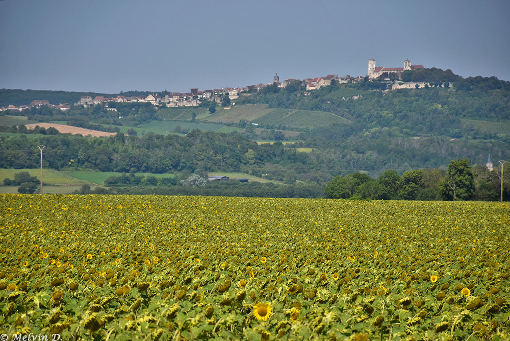 Image hébergée par servimg.com