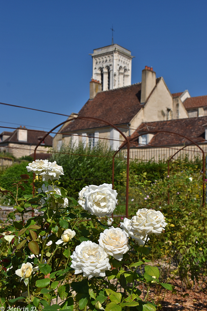Image hébergée par servimg.com