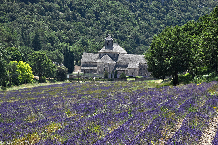 Image hébergée par servimg.com