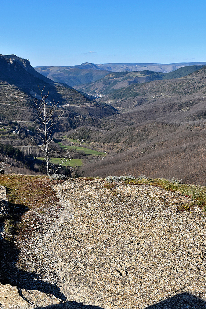 Image hébergée par servimg.com