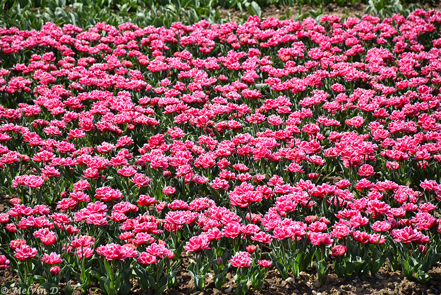 Image hébergée par servimg.com