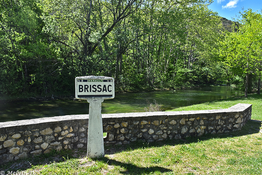 Image hébergée par servimg.com