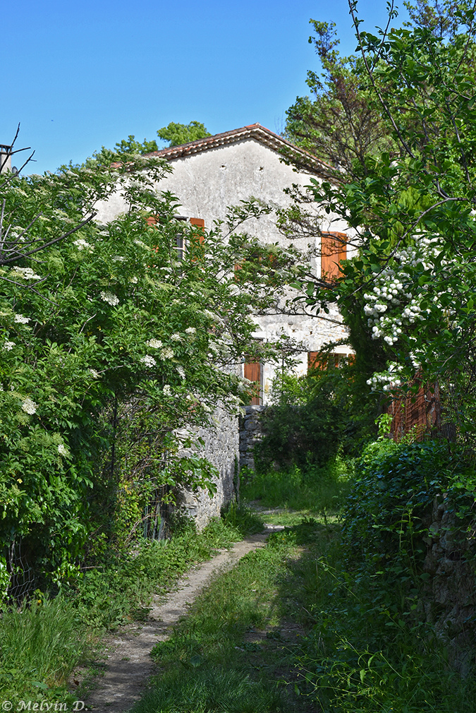 Image hébergée par servimg.com
