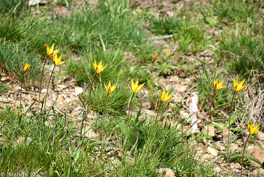 Image hébergée par servimg.com