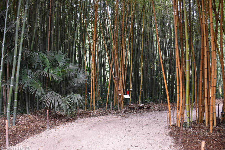 Image hébergée par servimg.com