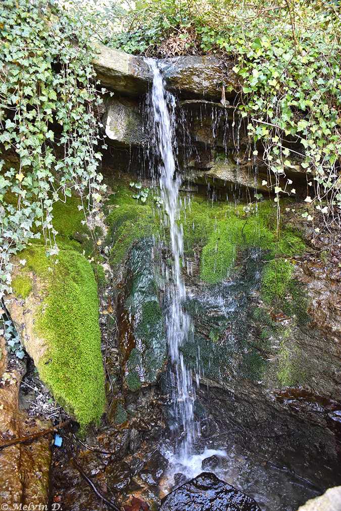 Image hébergée par servimg.com