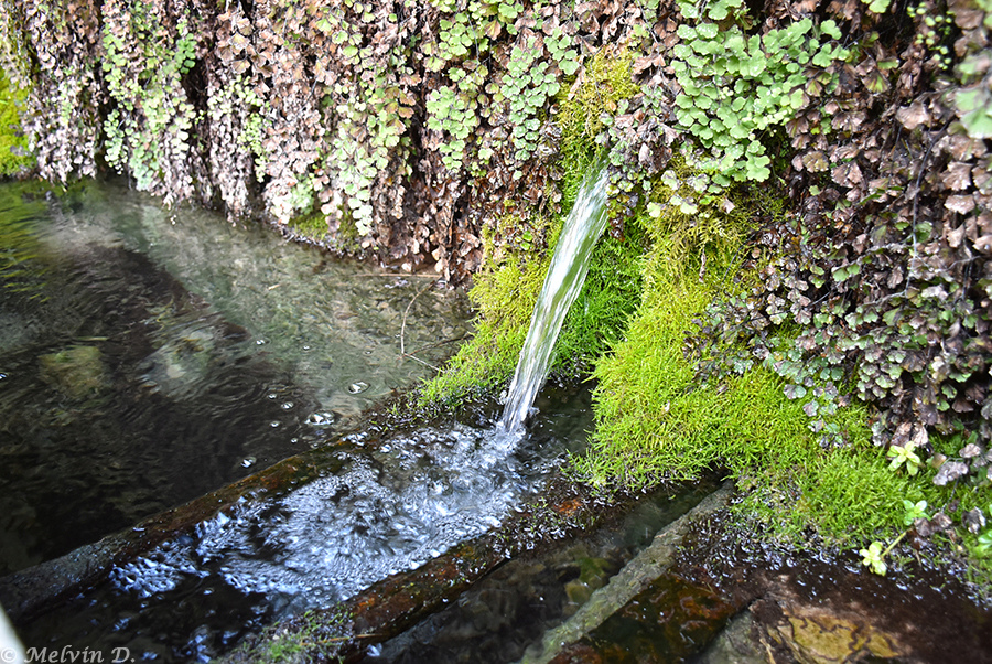 Image hébergée par servimg.com