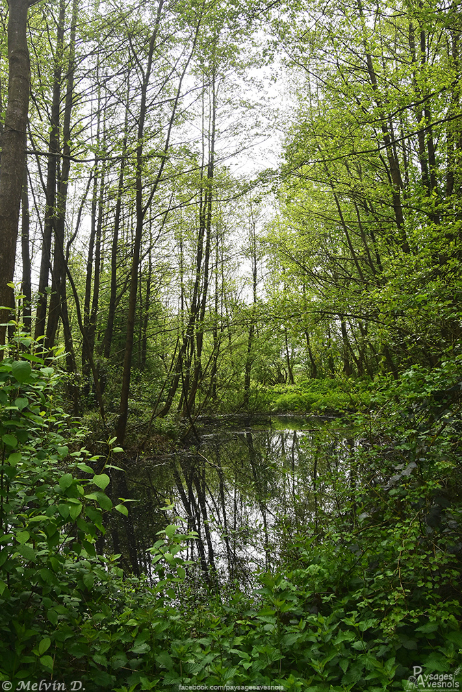 Image hébergée par servimg.com