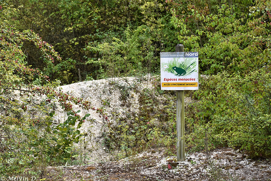 Image hébergée par servimg.com