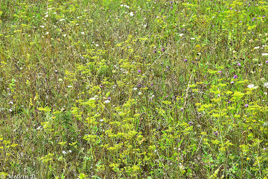 Image hébergée par servimg.com