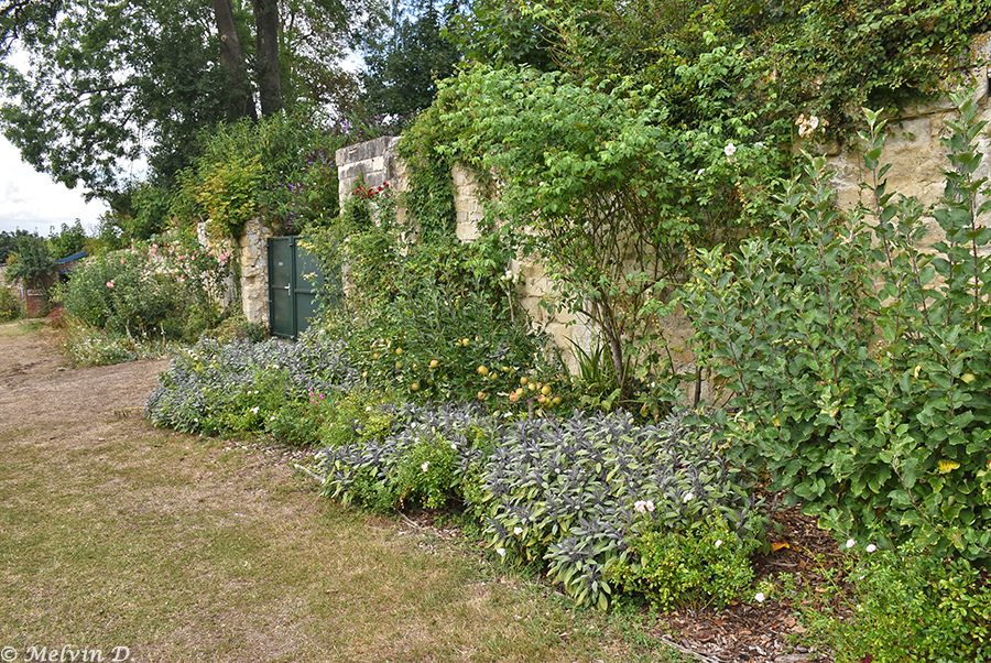 Image hébergée par servimg.com