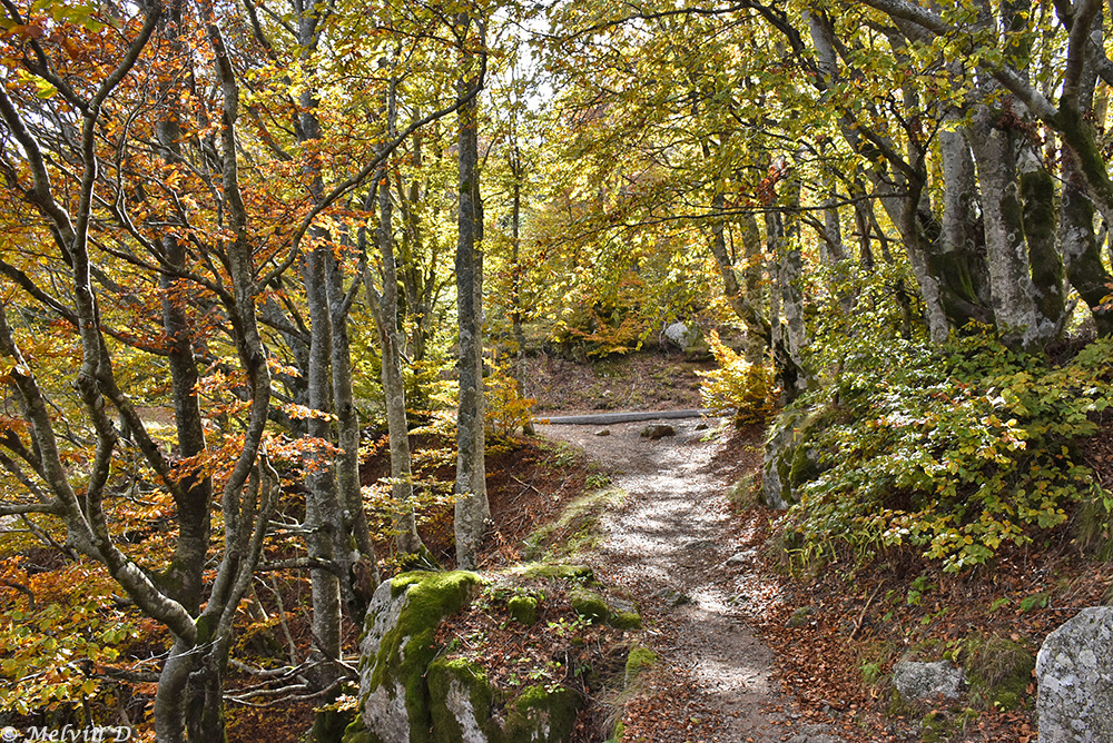 Image hébergée par servimg.com