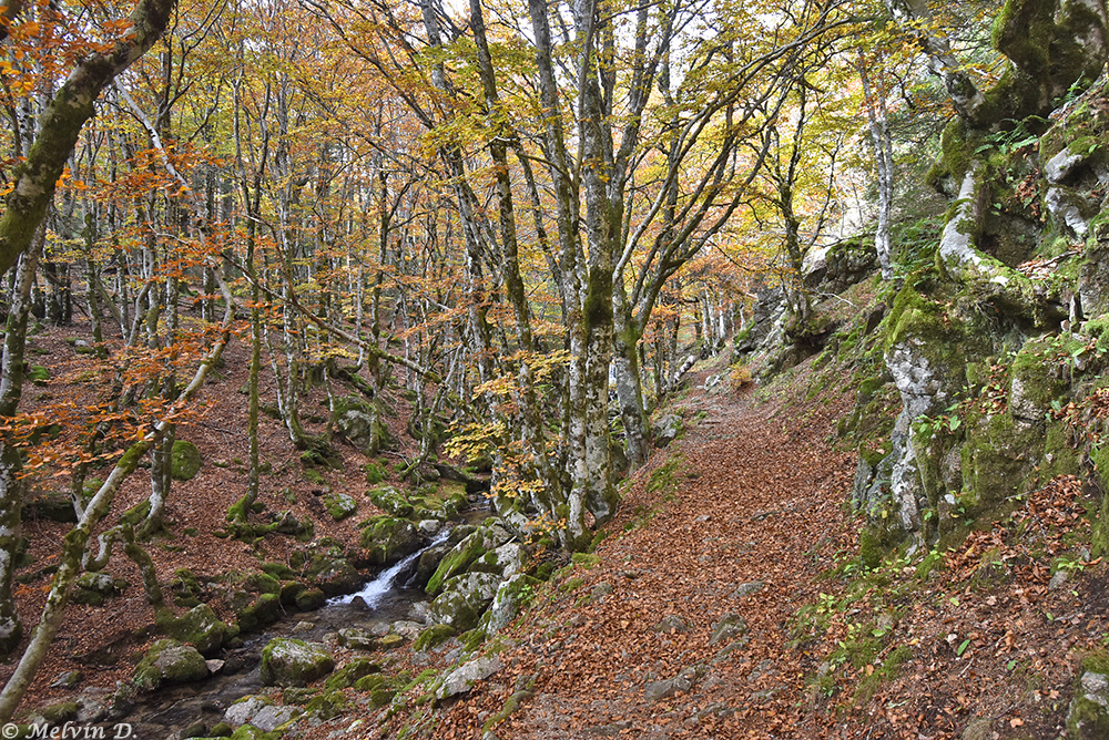 Image hébergée par servimg.com
