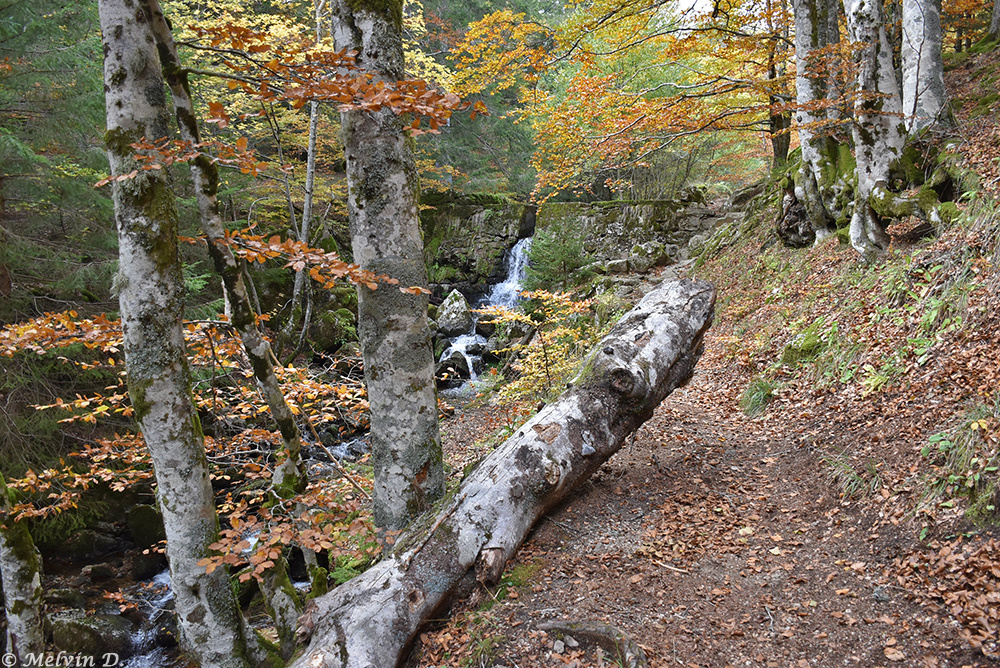 Image hébergée par servimg.com