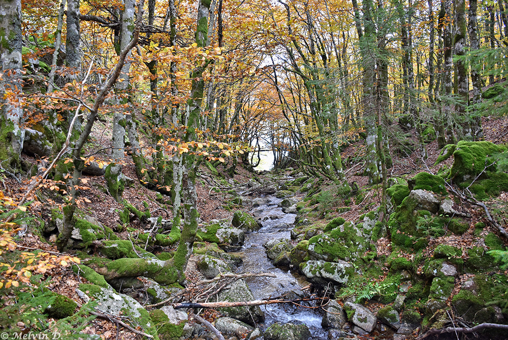Image hébergée par servimg.com