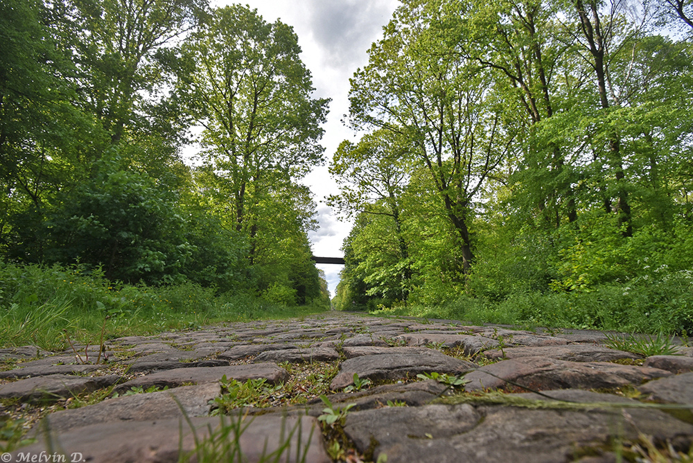 Image hébergée par servimg.com