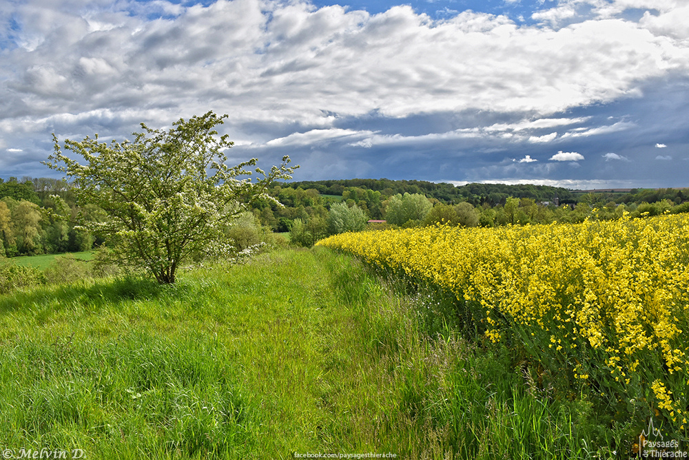 dsc_3535.jpg