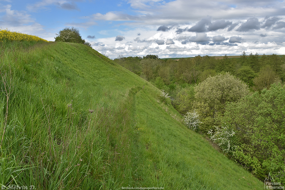 dsc_3540.jpg