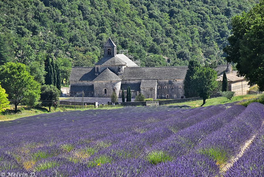 Image hébergée par servimg.com