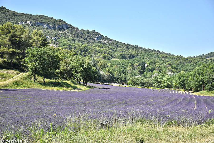 Image hébergée par servimg.com