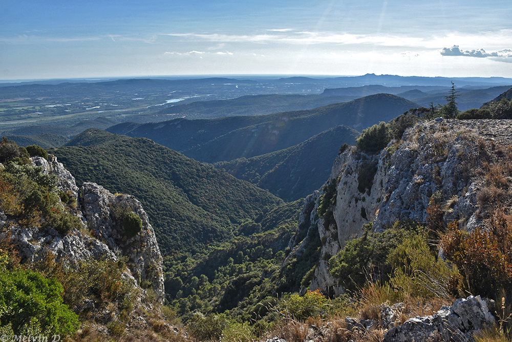 Image hébergée par servimg.com